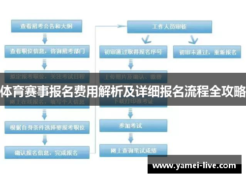 体育赛事报名费用解析及详细报名流程全攻略