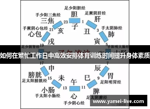 如何在繁忙工作日中高效安排体育训练时间提升身体素质